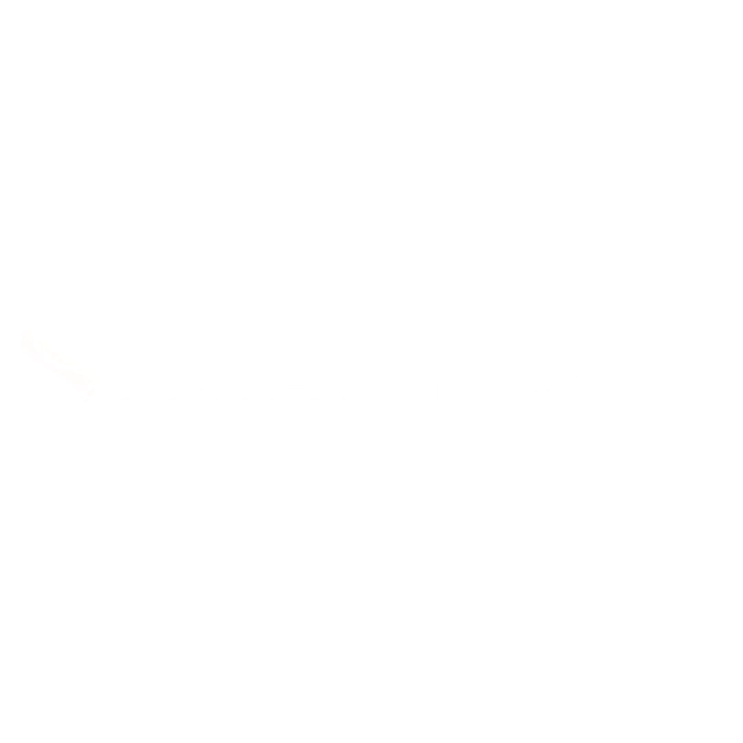 Hayat Holding